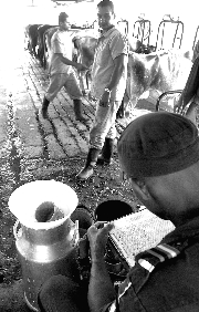 Hay 68 reclusos en el curso de ganado doble propósito. A diario, las 80 vacas de lecheras, producen más de 250 botellas de leche.