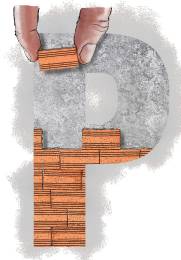 ILUSTRACIÓN ESTEBAN PARÍS