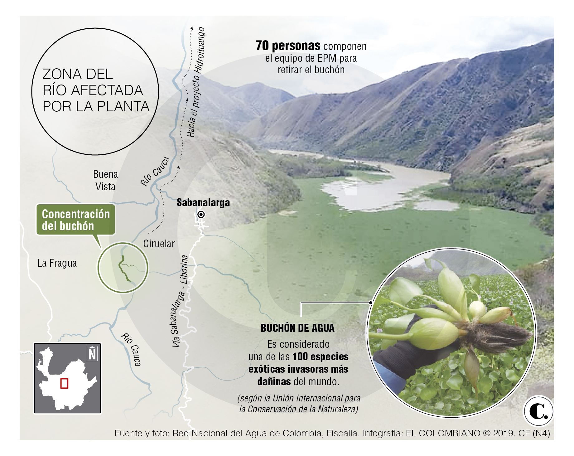 InfogrÃ¡fico