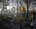 La temporada seca en Colombia se prologará hasta marzo, según el Ideam, y aumentan las probabilidades de incendios (imagen ilustrativa). FOTO: Colprensa