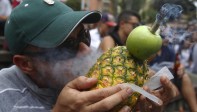 “La marihuana solo genera problemas con las prohibiciones y la estigmatización”, indicó Ponce. FOTO EFE