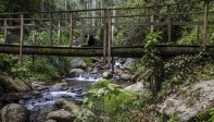 El Vallano, en Envigado, guarda ruidos de la naturaleza: el canto de los pájaros, árboles que se agitan con el viento y el correr del agua por el caudal de la quebrada La Ayurá. Foto: Edwin Bustamante