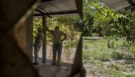 1.300 personas decidieron cambiar los cultivos de uso ilícito por otro tipo de sembrados como el cacao. Foto: Santiago Mesa. 