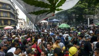 Por lo menos 2.500 personas de distintas edades se movilizaron el sábado en Medellín para pedir la despenalización del cannabis, en el marco de la Marcha Mundial de Marihuana. FOTO AFP