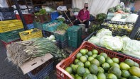 Con un aproximado de 5.985 toneladas de productos proveniente del todo departamento, la plaza Mayorista se abastece para que las familias puedan conseguir a precios económicos sus alimentos. Foto: Manuel Saldarriaga Quintero.