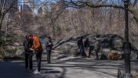 El Central Park es un parque urbano público situado en el distrito metropolitano de Manhattan, tiene forma rectangular 4000 x 800 mts y 37.5 millones de visitantes al año. Foto: Santiago Mesa