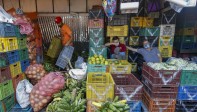 Con un aproximado de 5.985 toneladas de productos proveniente del todo departamento, la plaza Mayorista se abastece para que las familias puedan conseguir a precios económicos sus alimentos. Foto: Manuel Saldarriaga Quintero.