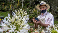 Flores y hortalizas son los principales productos que cosechan y venden los campesinos de Santa Elena. FOTO JUAN ANTONIO SÁNCHEZ OCAMPO