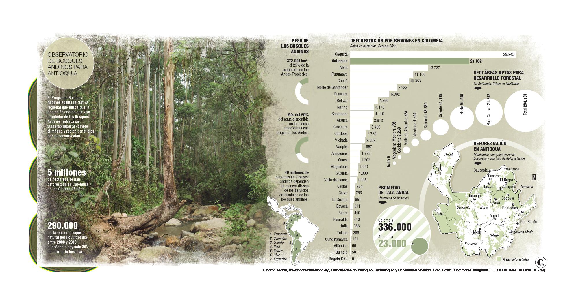 InfogrÃ¡fico