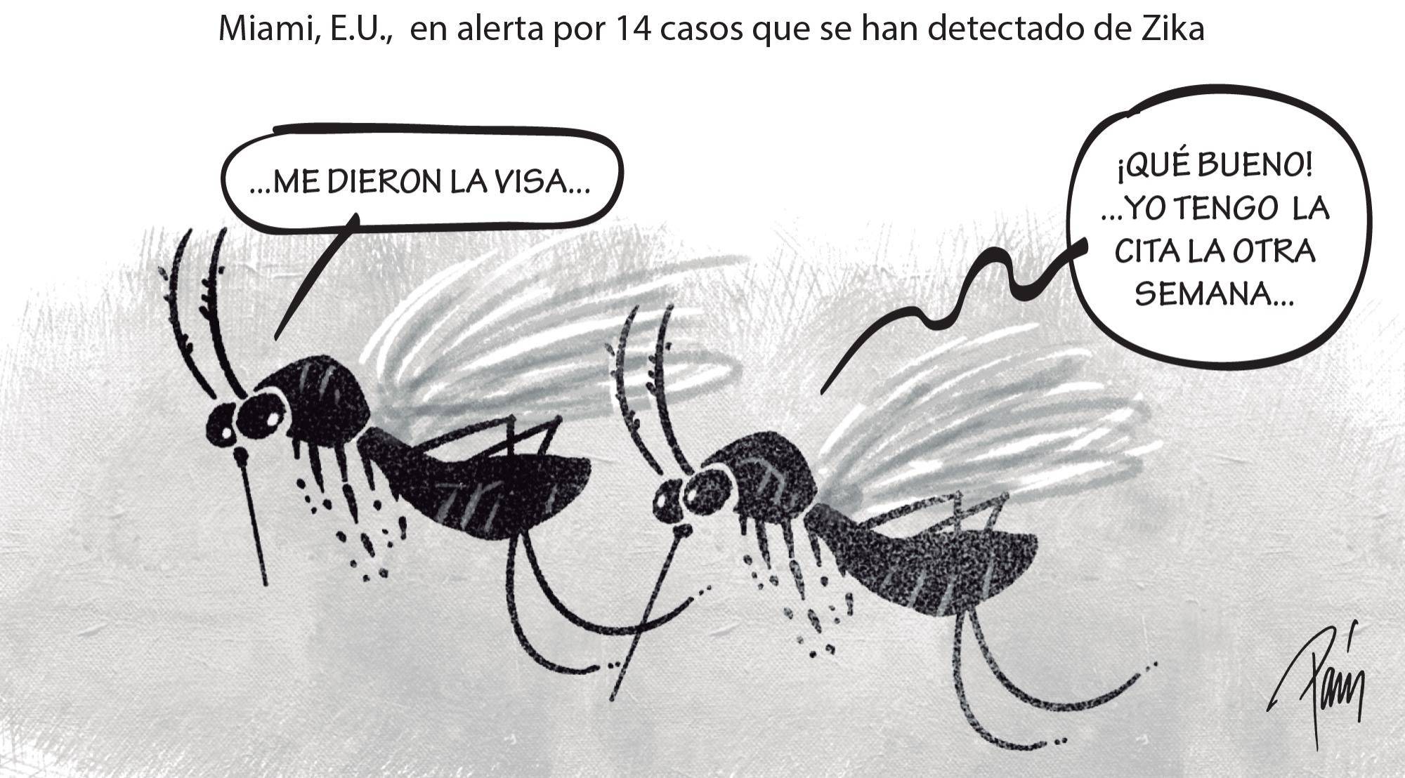 InfogrÃ¡fico