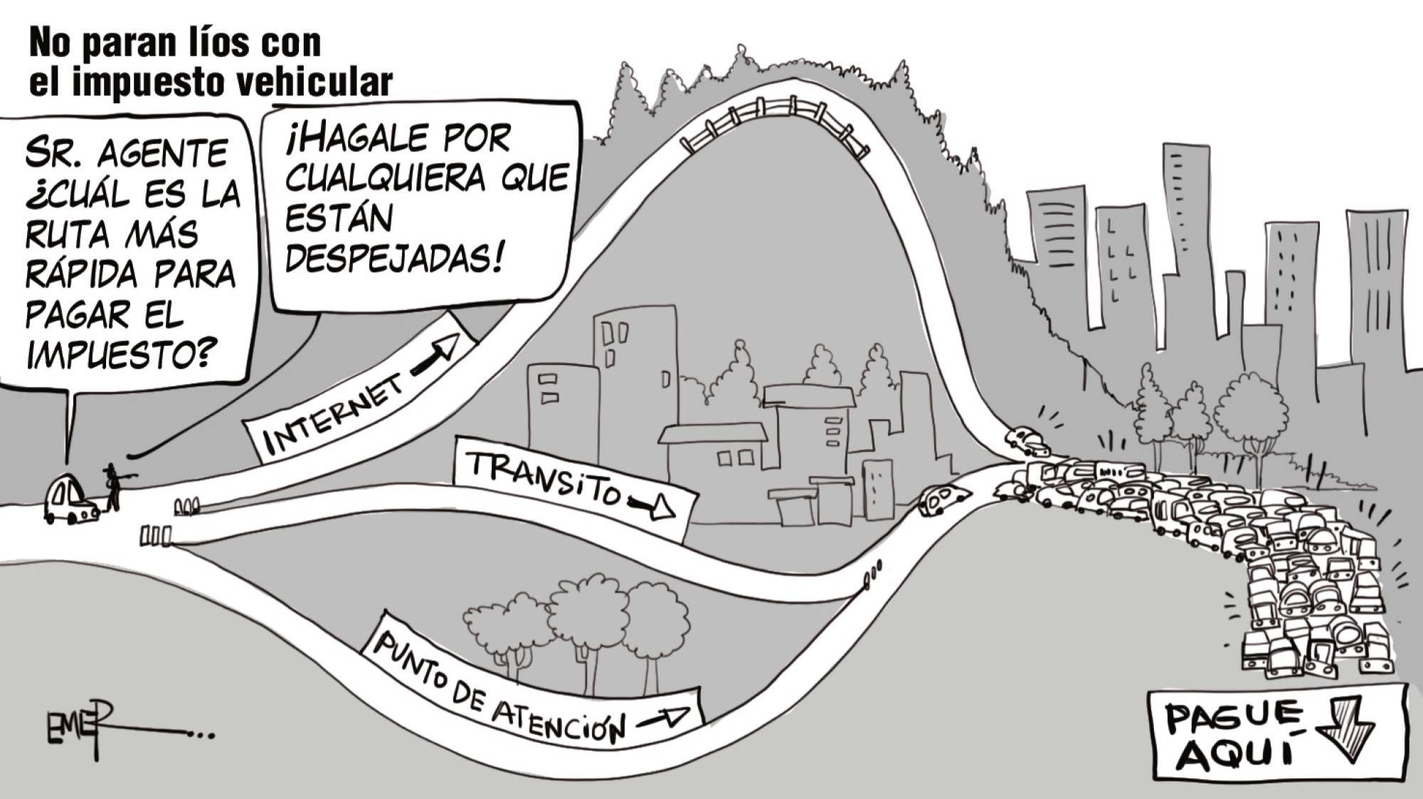 InfogrÃ¡fico