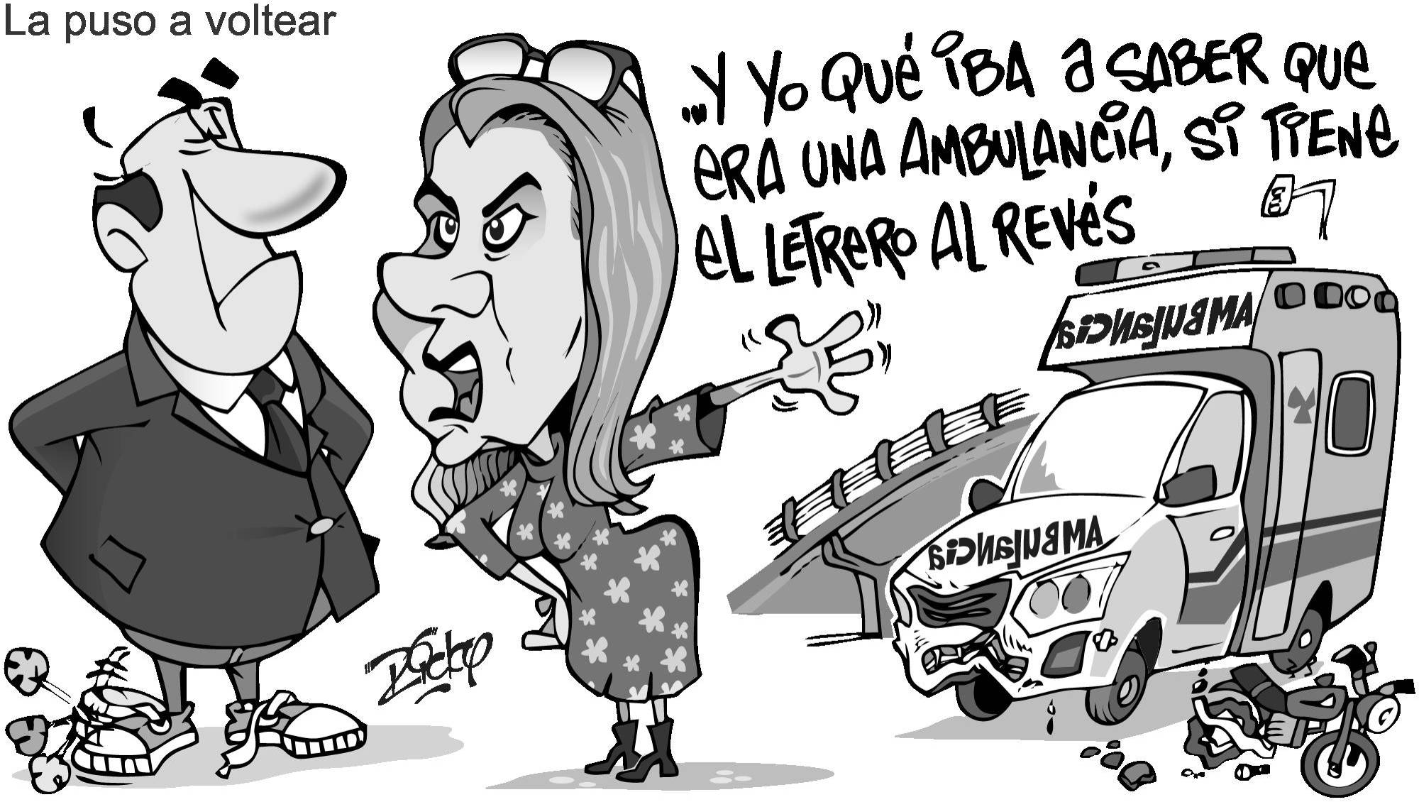 InfogrÃ¡fico