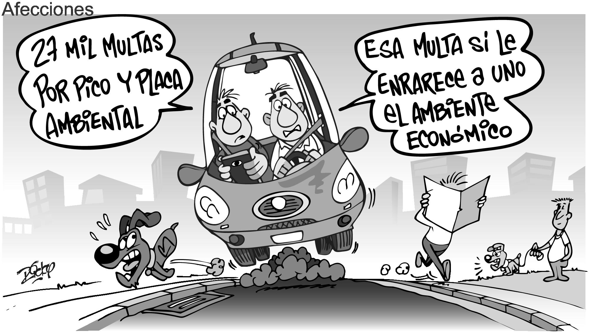 InfogrÃ¡fico