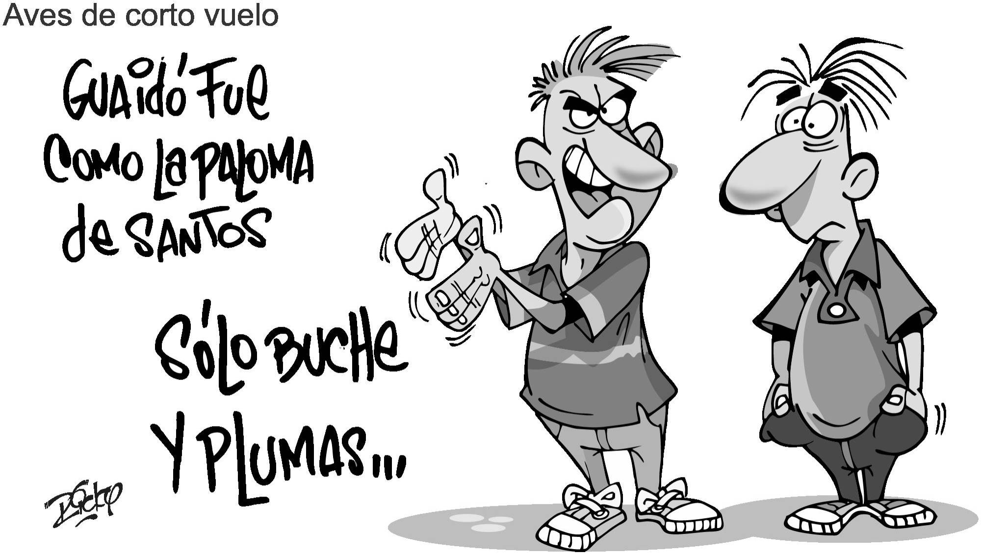 InfogrÃ¡fico