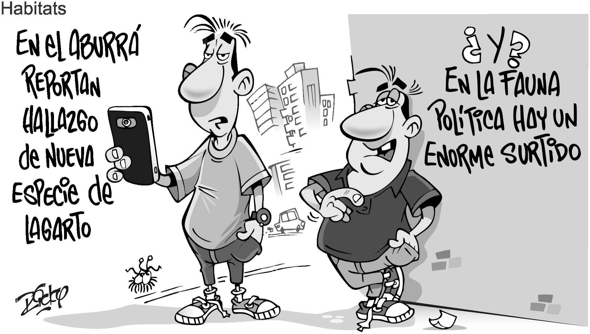 InfogrÃ¡fico