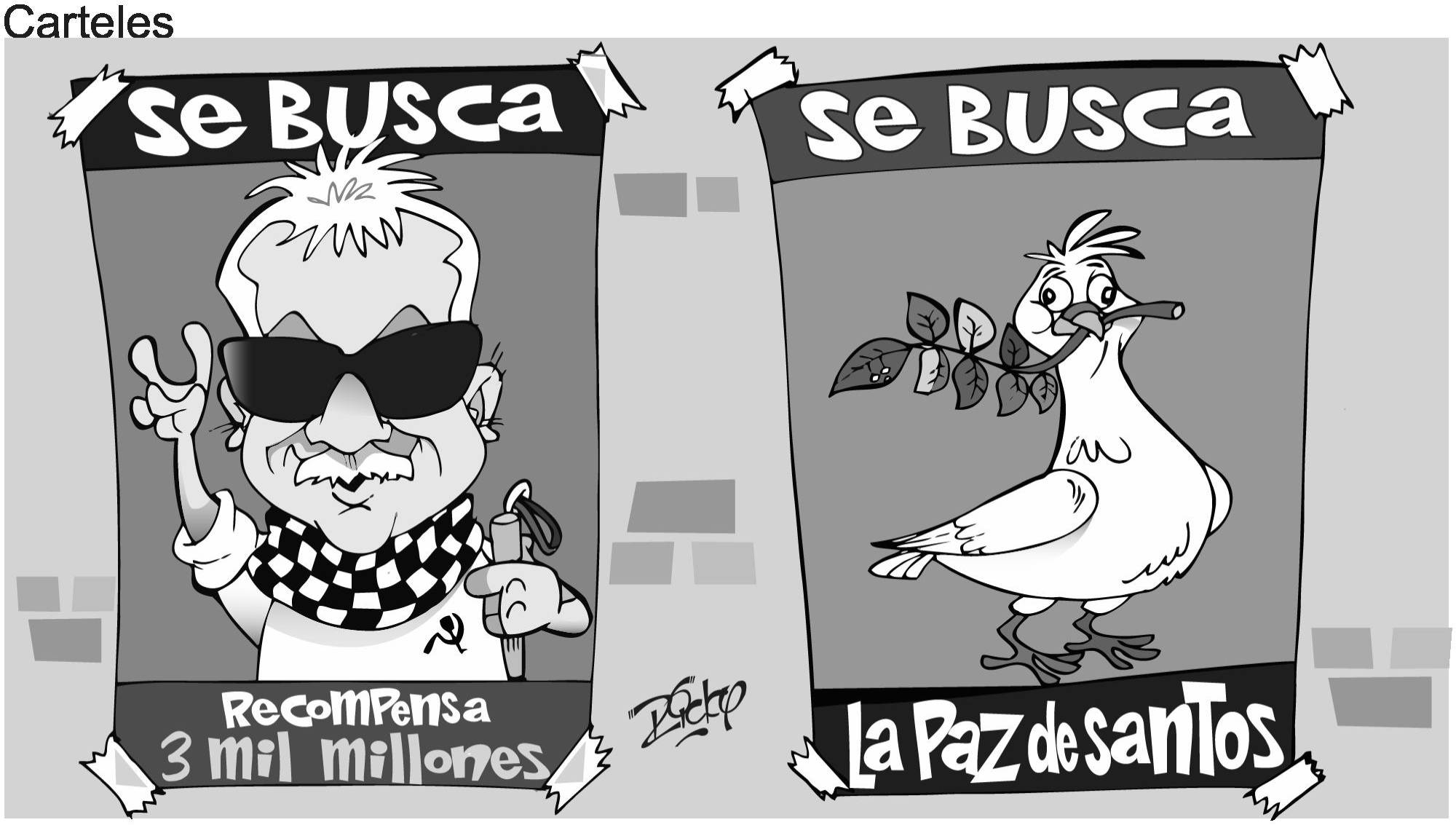 InfogrÃ¡fico