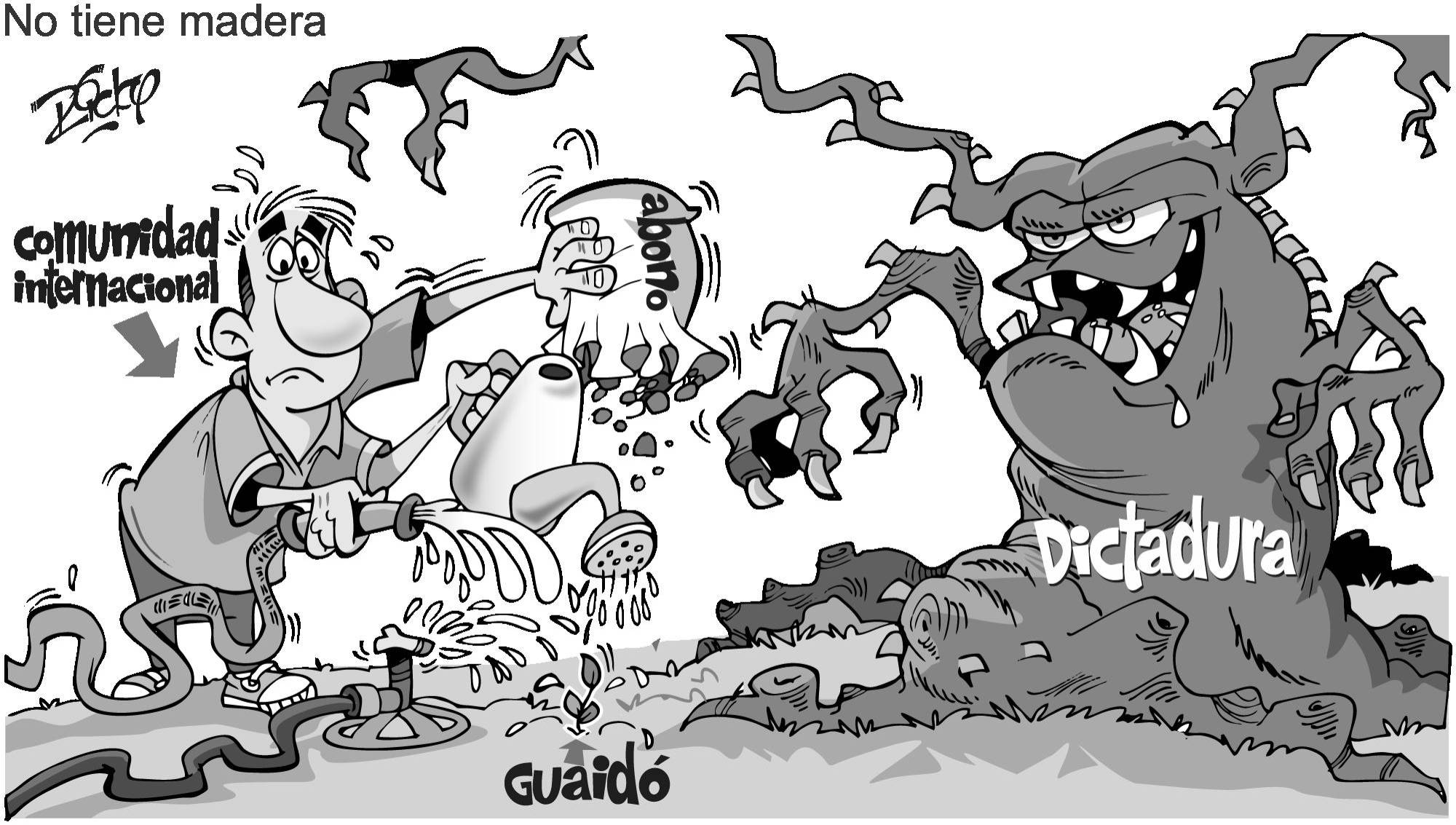 InfogrÃ¡fico