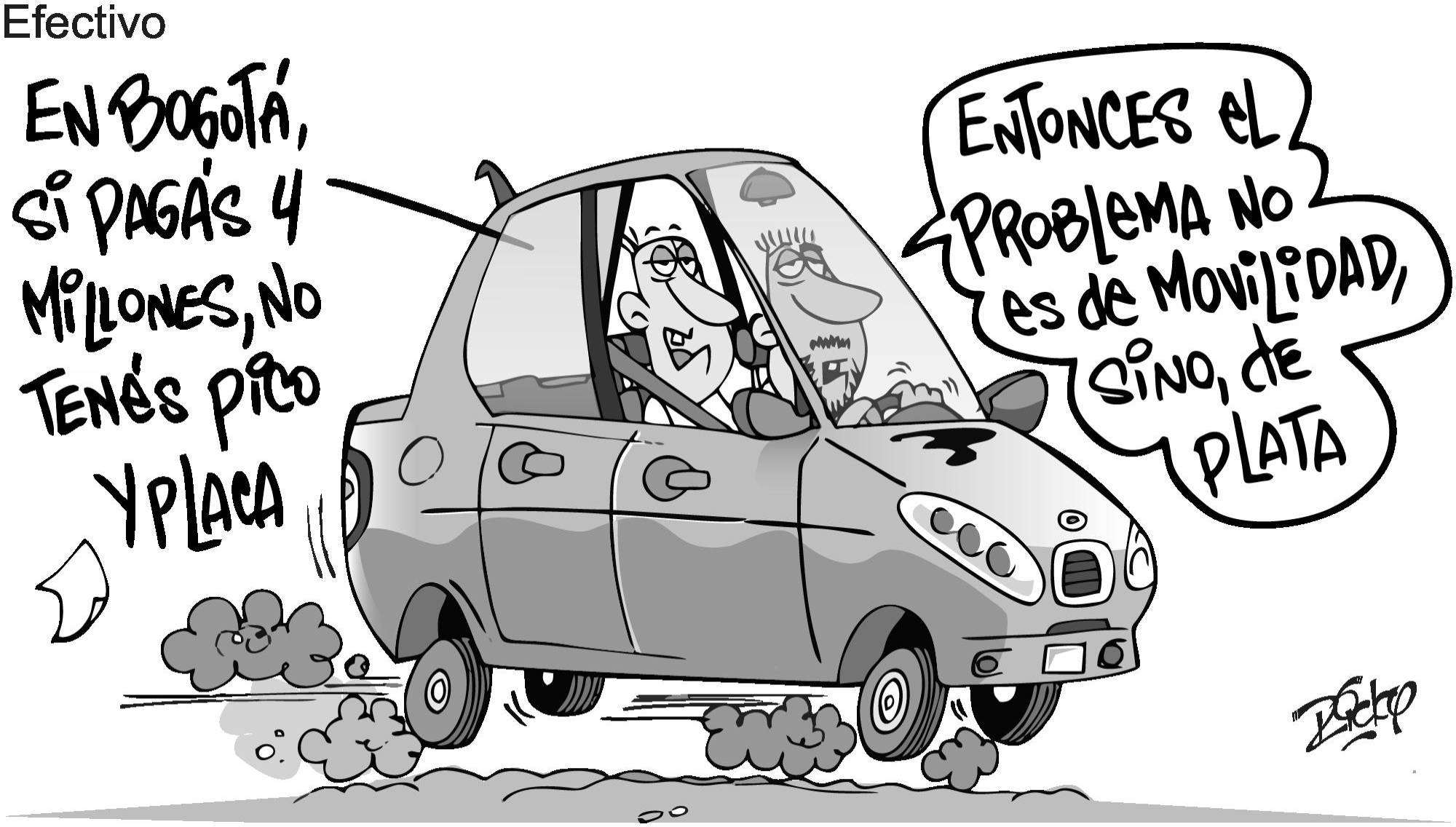InfogrÃ¡fico