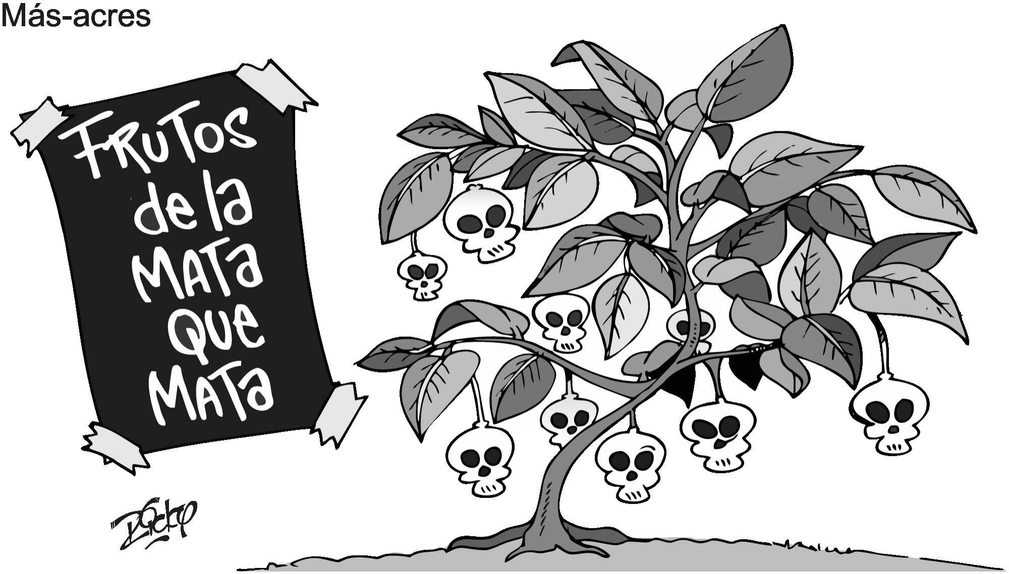 InfogrÃ¡fico