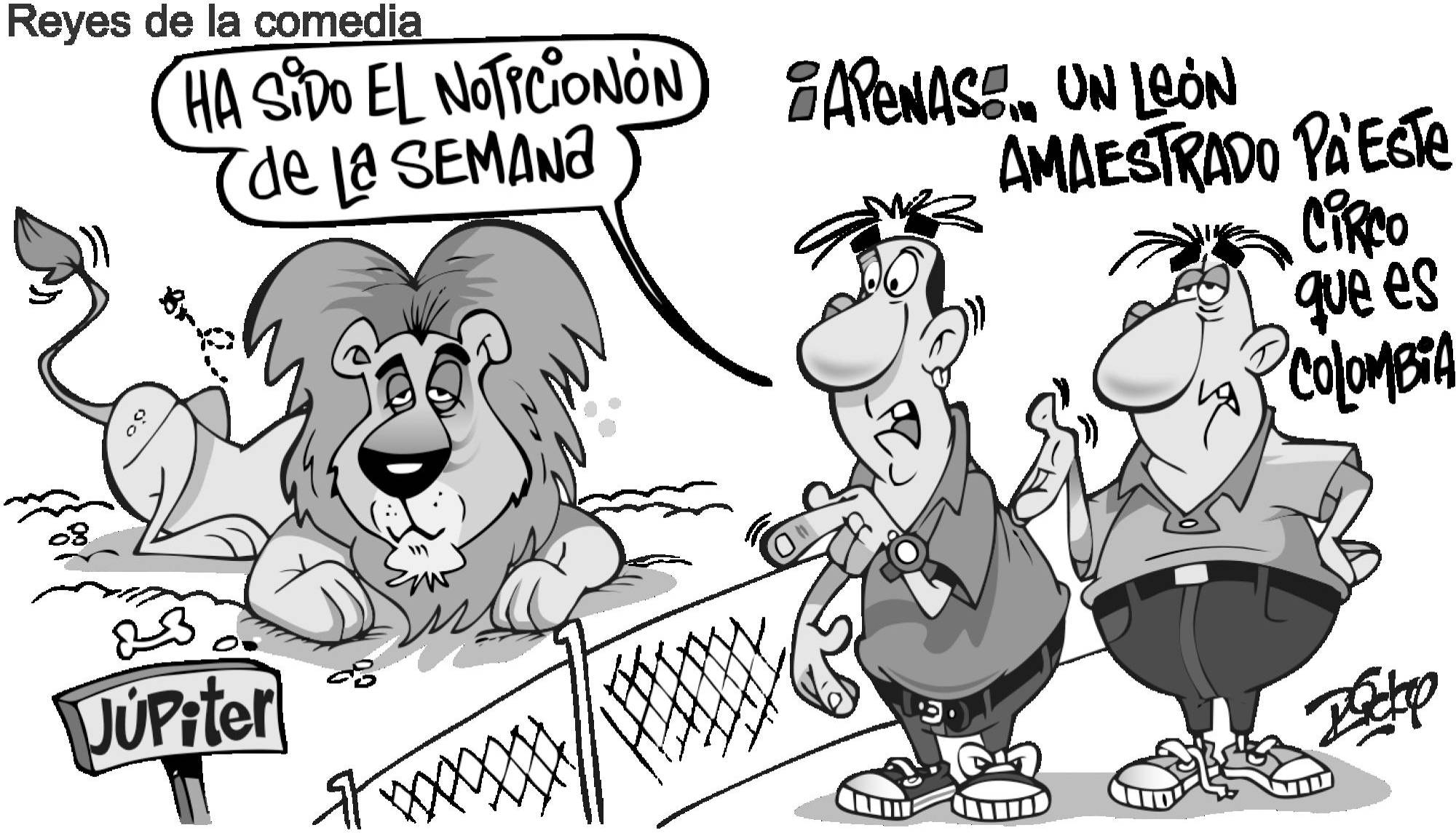 InfogrÃ¡fico