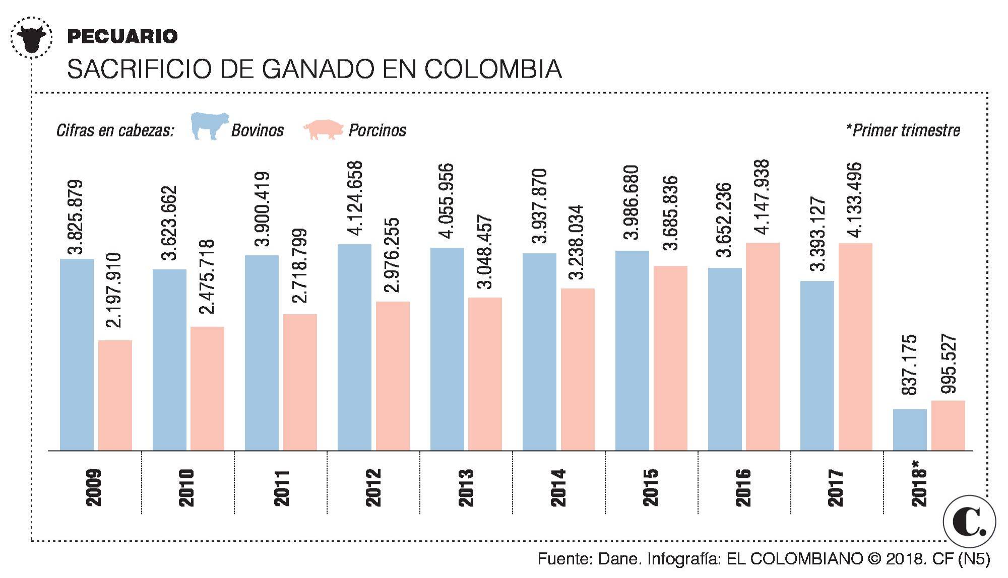 InfogrÃ¡fico