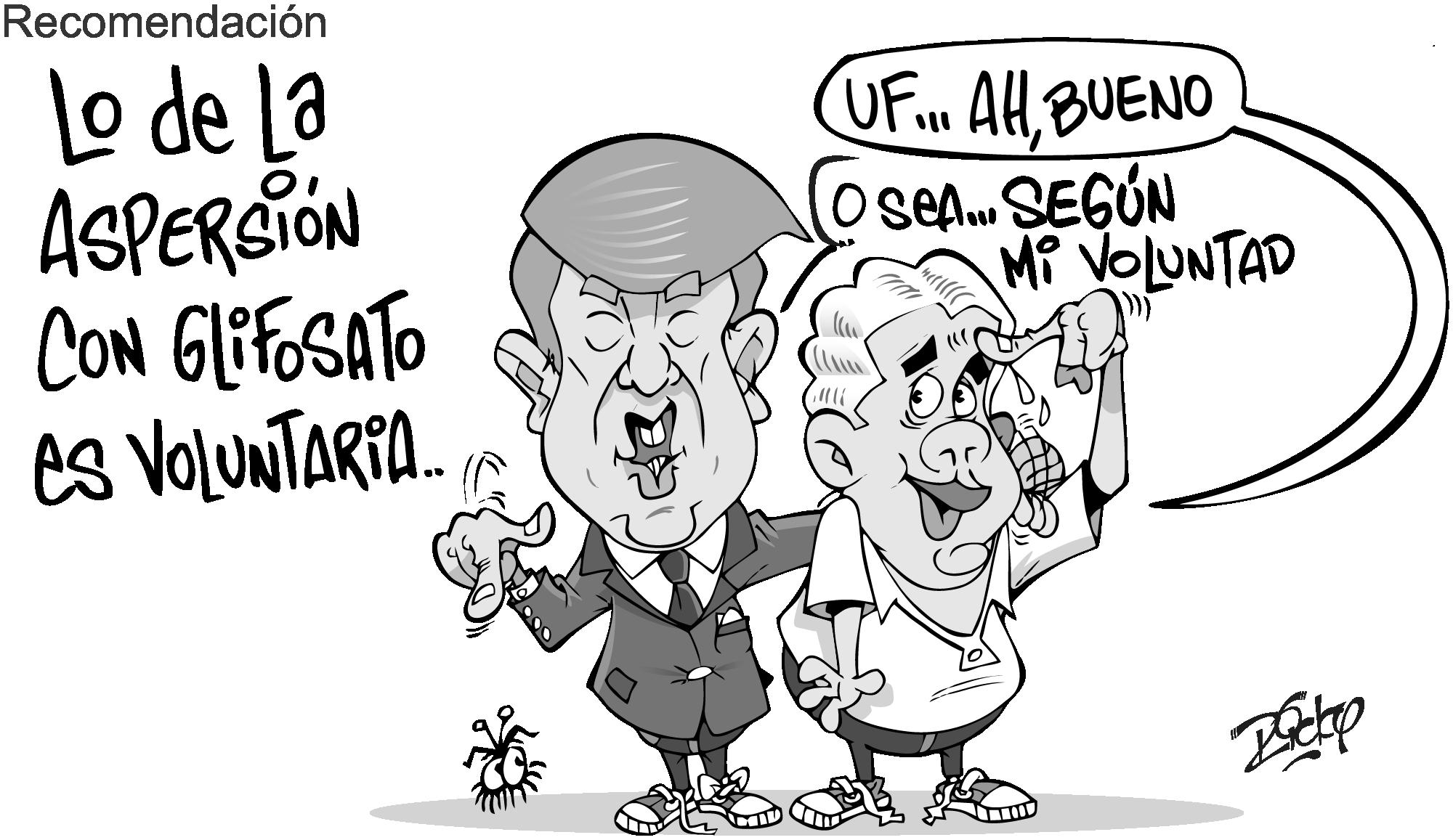 InfogrÃ¡fico