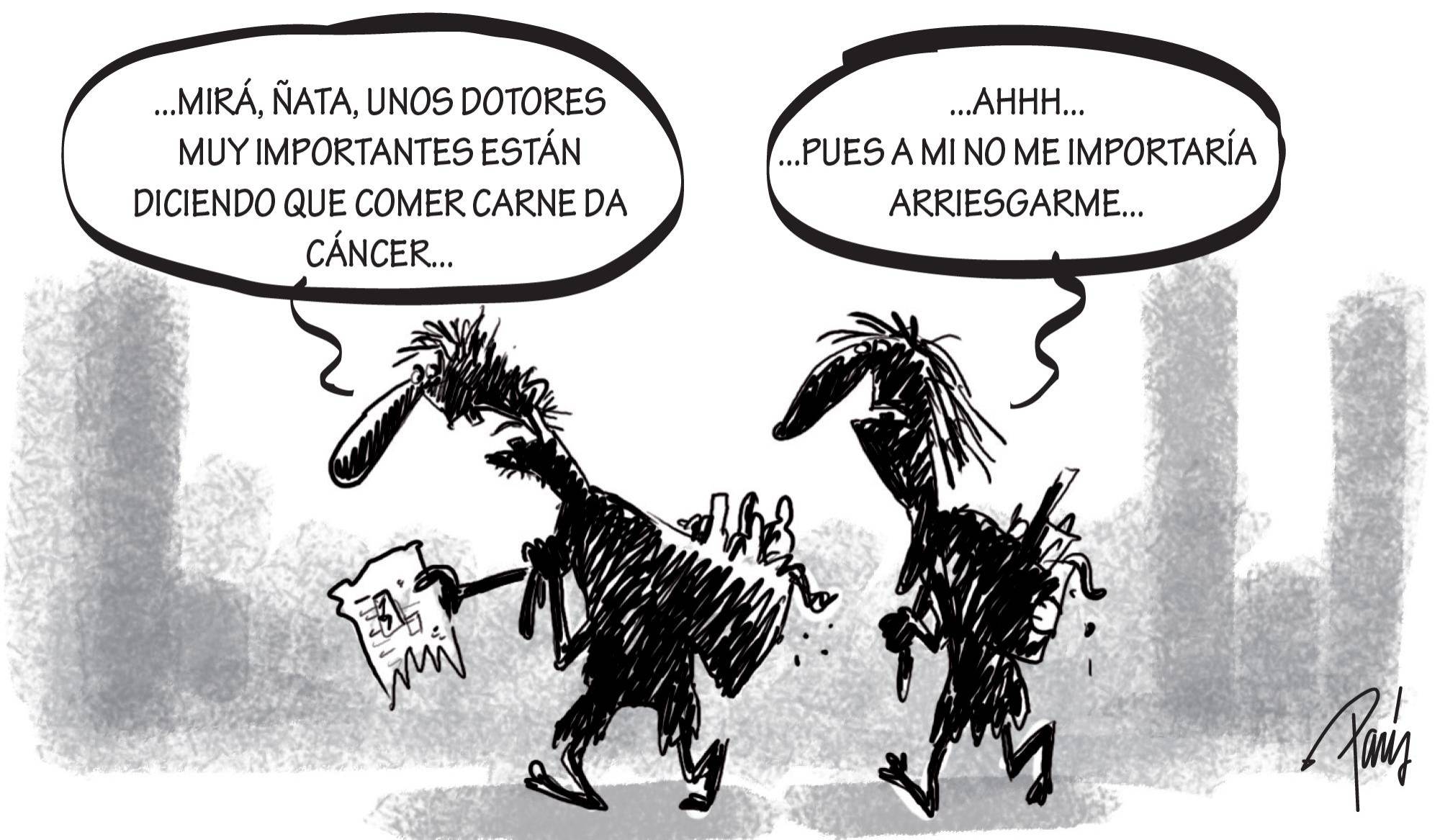 InfogrÃ¡fico
