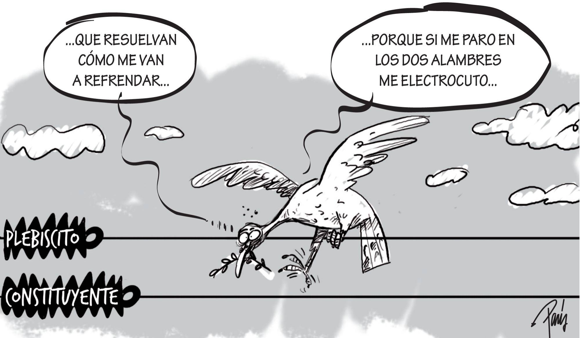 InfogrÃ¡fico