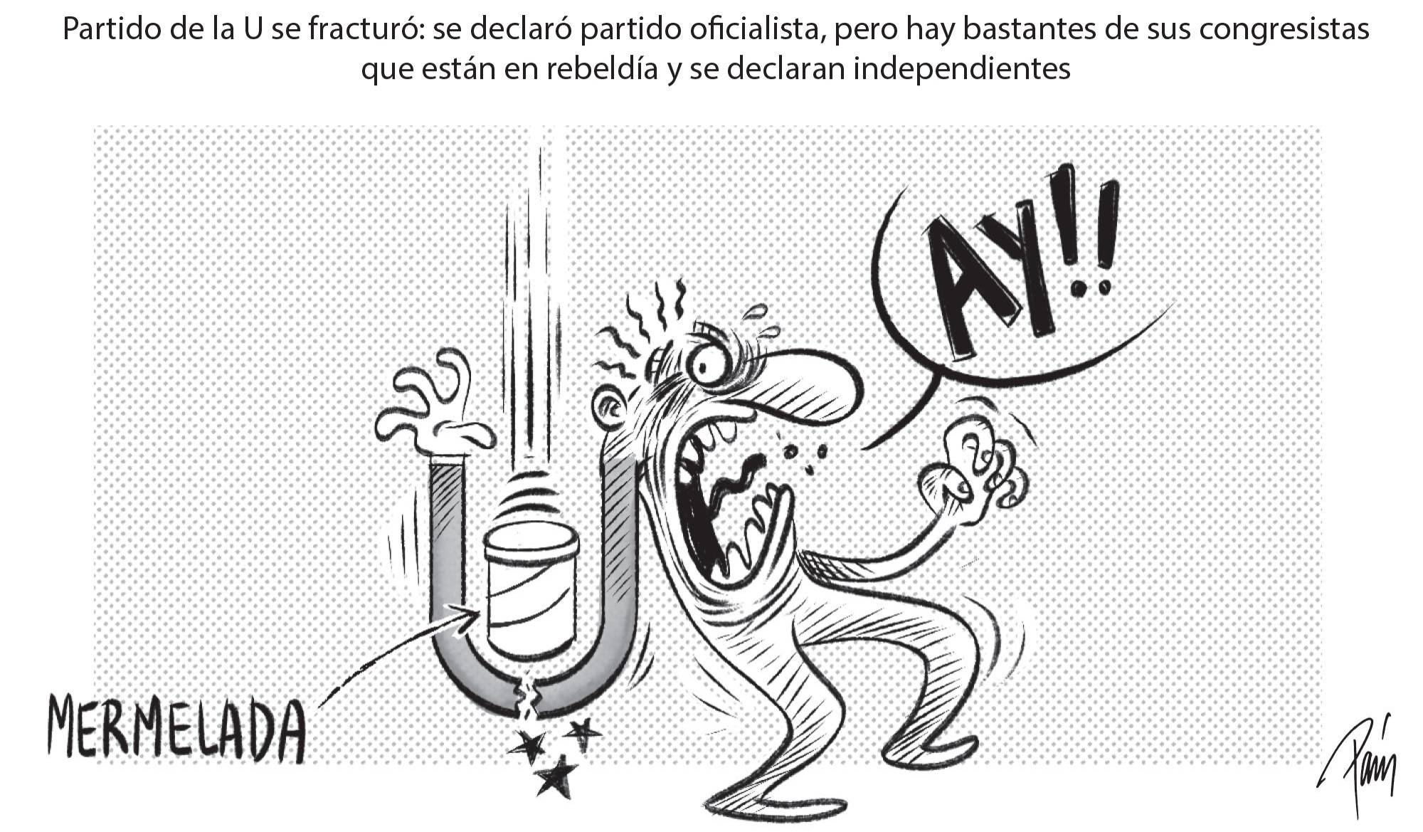 InfogrÃ¡fico
