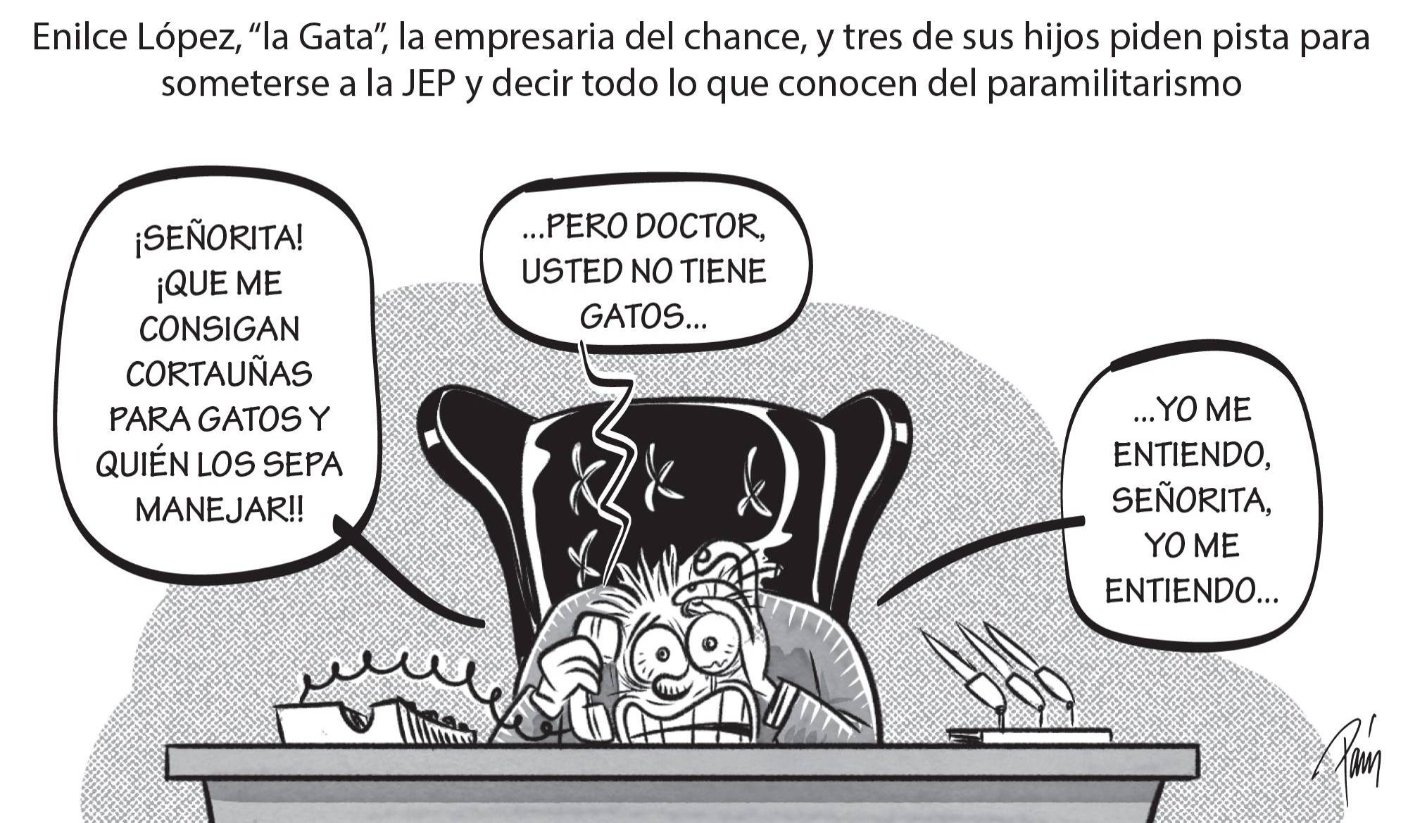 InfogrÃ¡fico