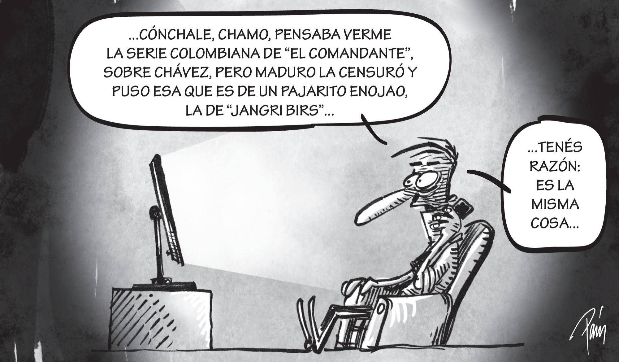 InfogrÃ¡fico