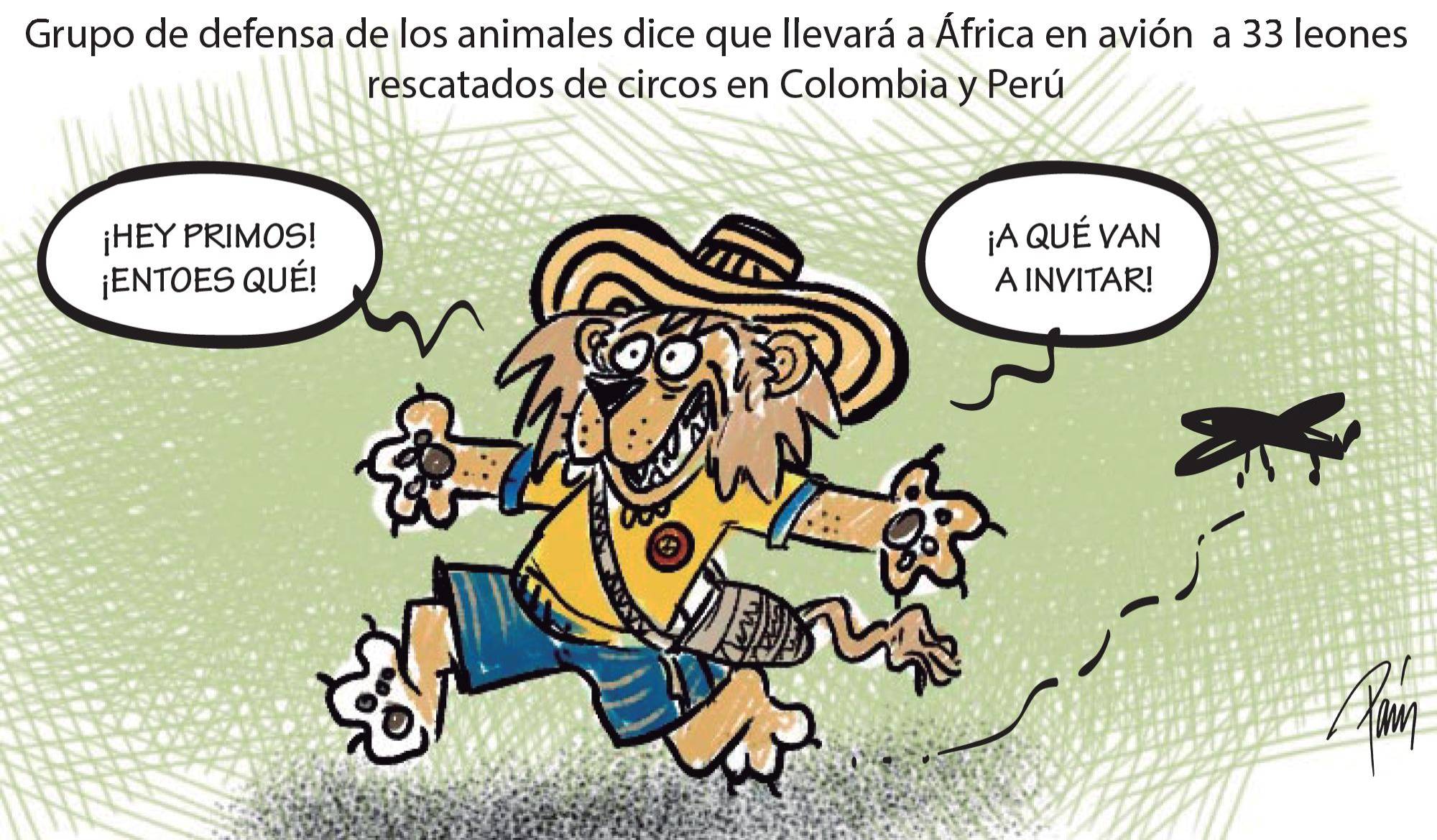 InfogrÃ¡fico