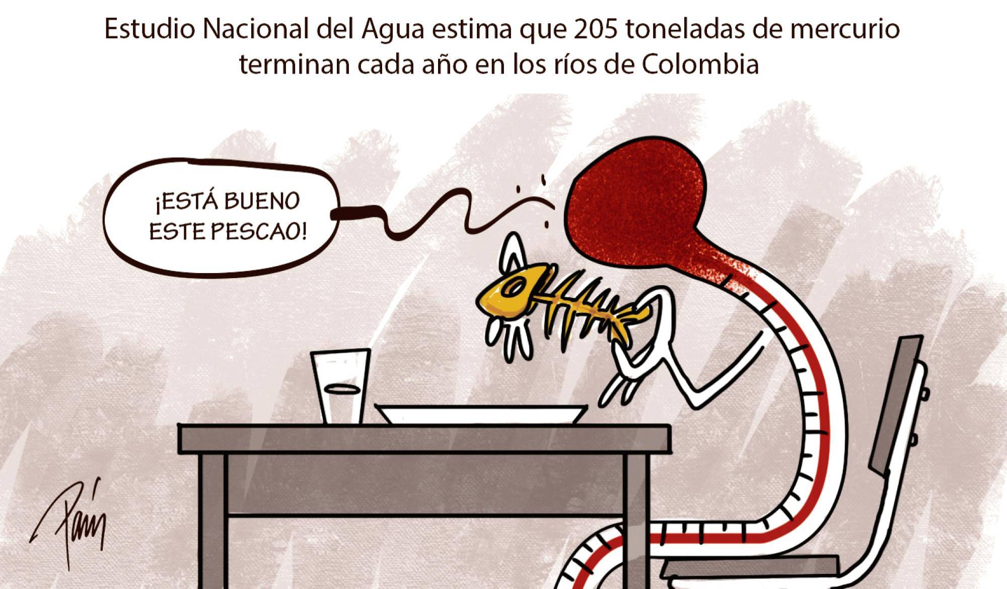 InfogrÃ¡fico
