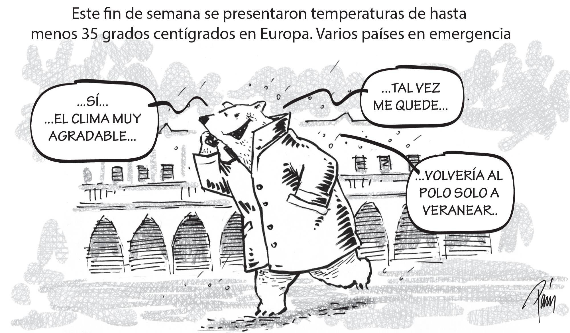 InfogrÃ¡fico