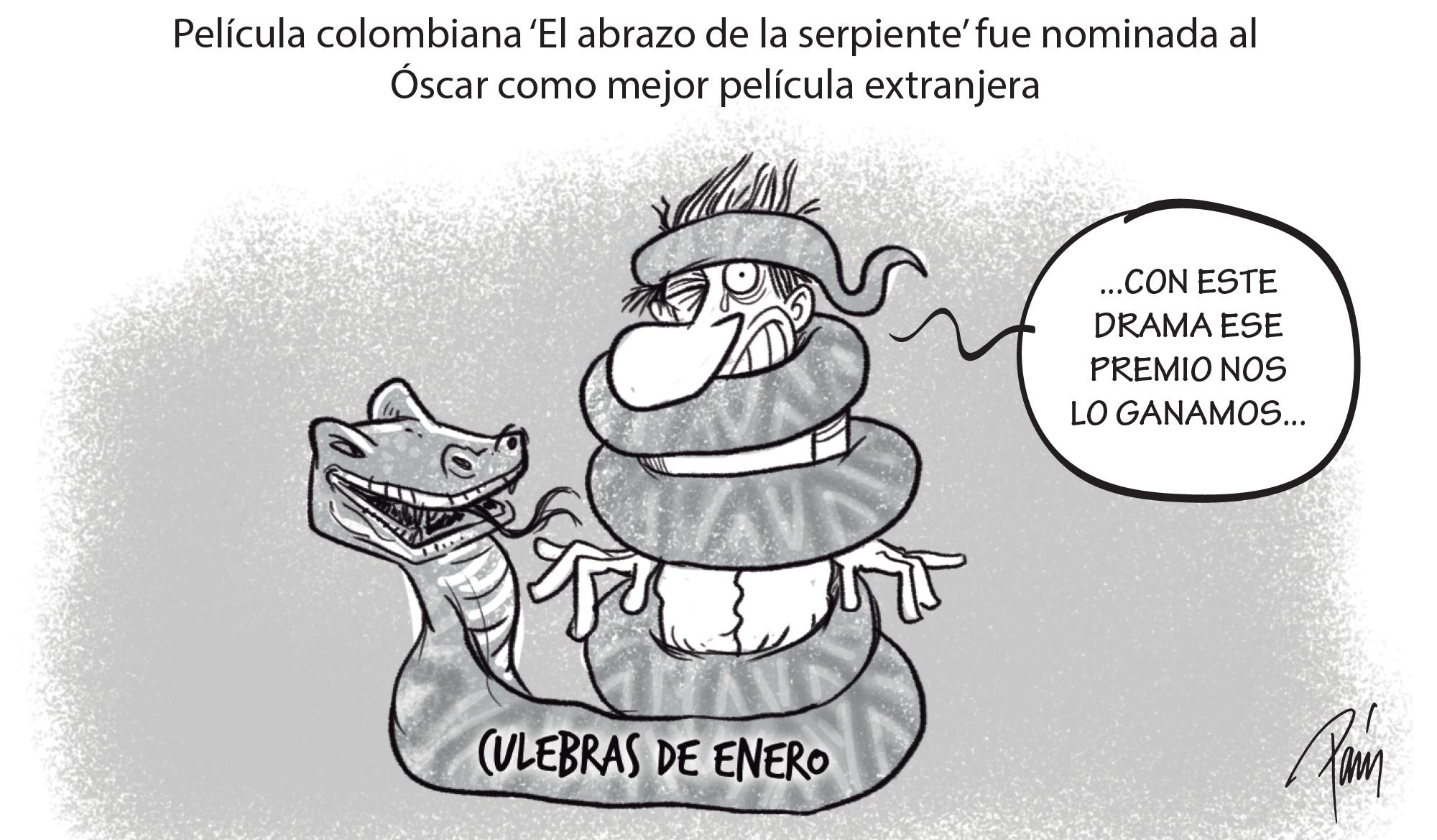 InfogrÃ¡fico