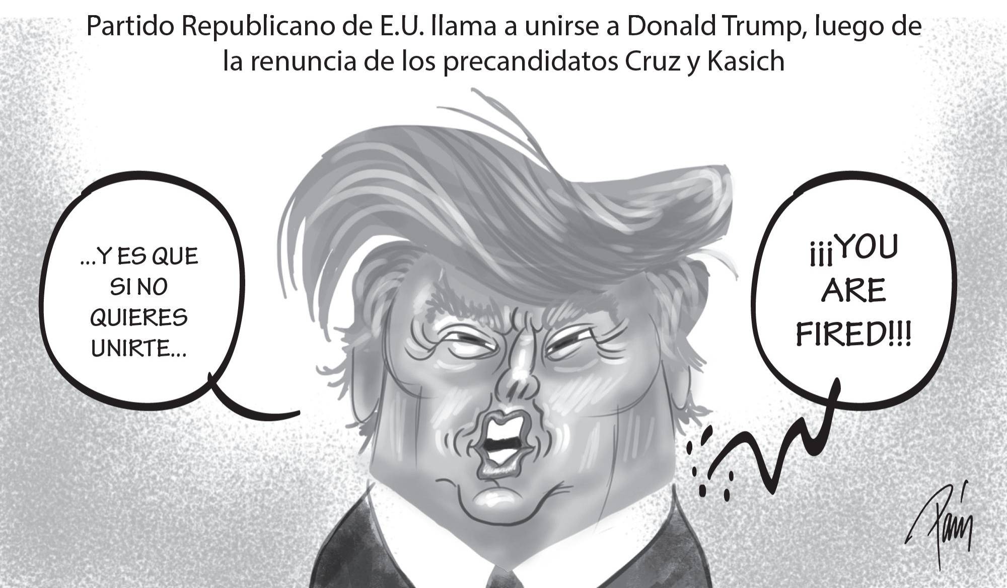 InfogrÃ¡fico