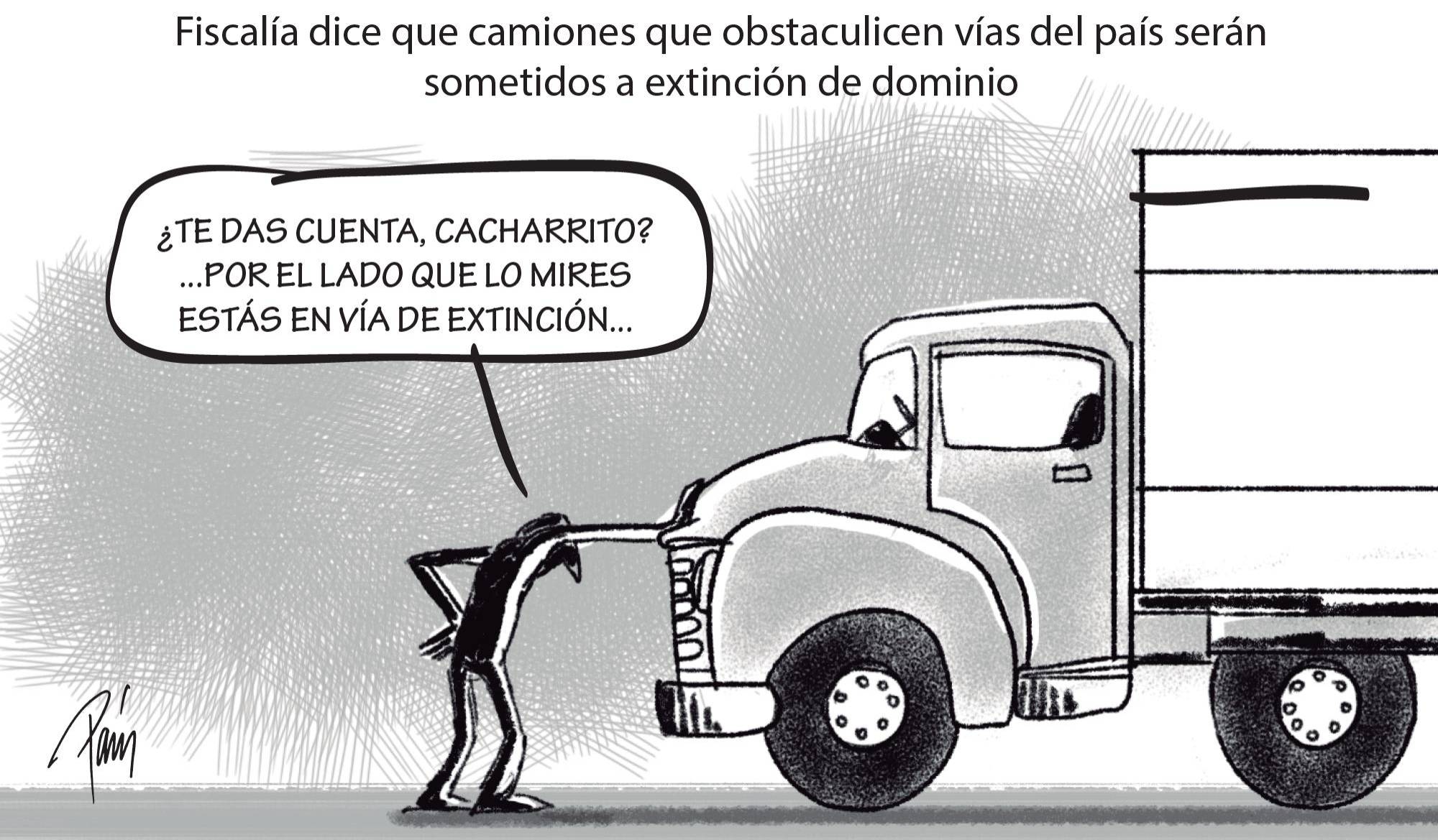 InfogrÃ¡fico