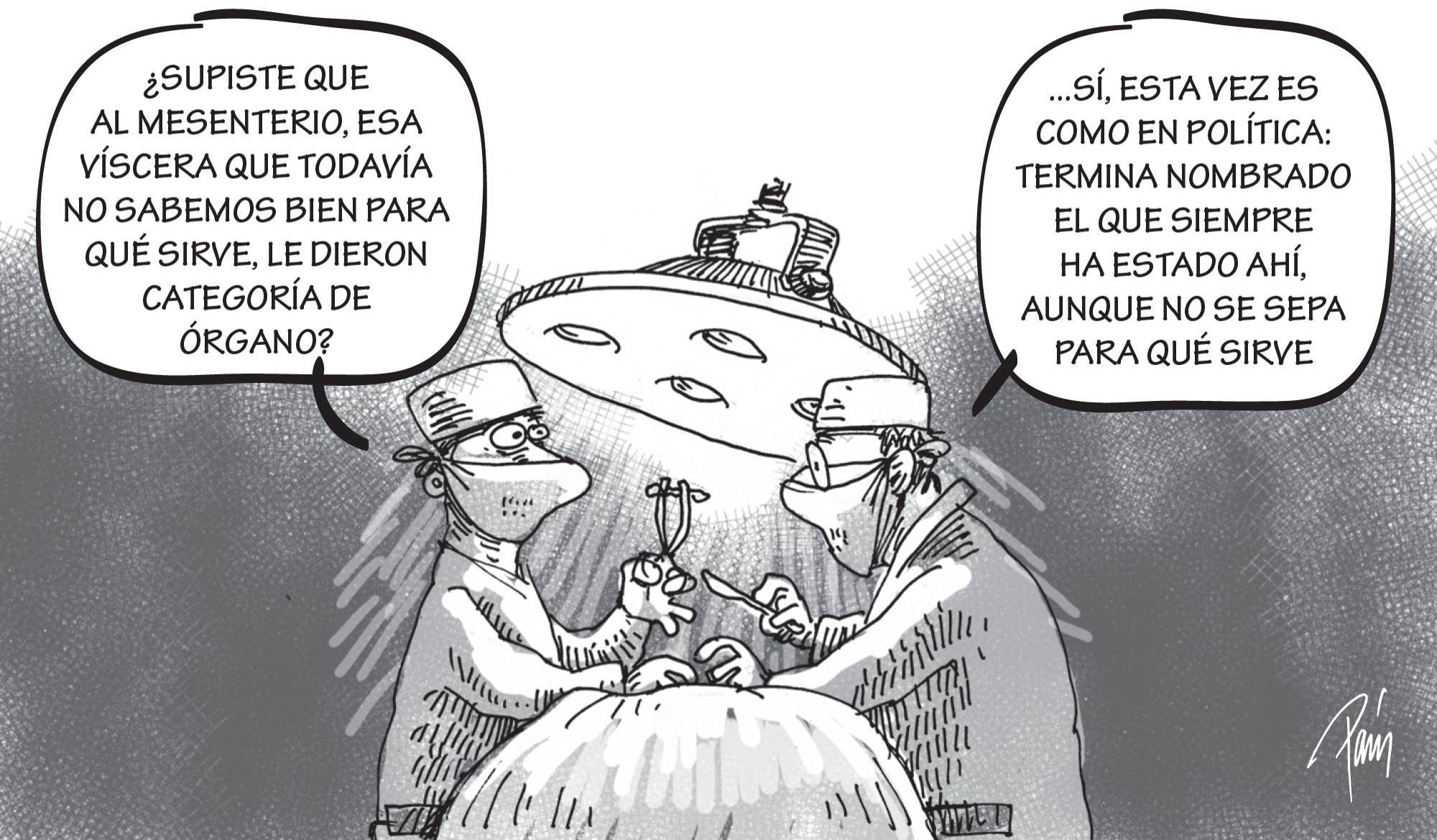 InfogrÃ¡fico