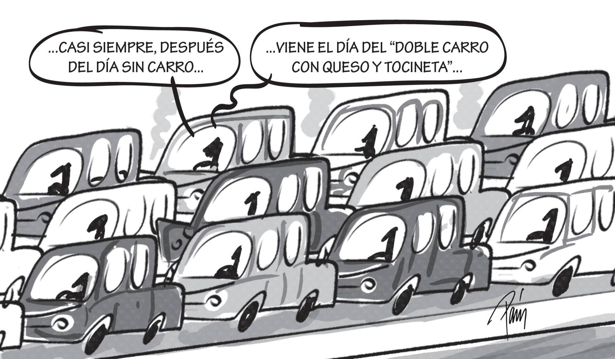 InfogrÃ¡fico