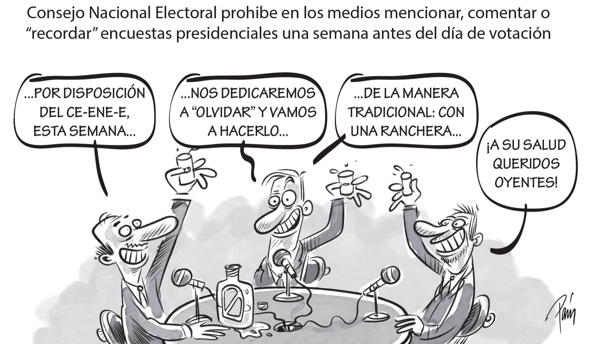 InfogrÃ¡fico