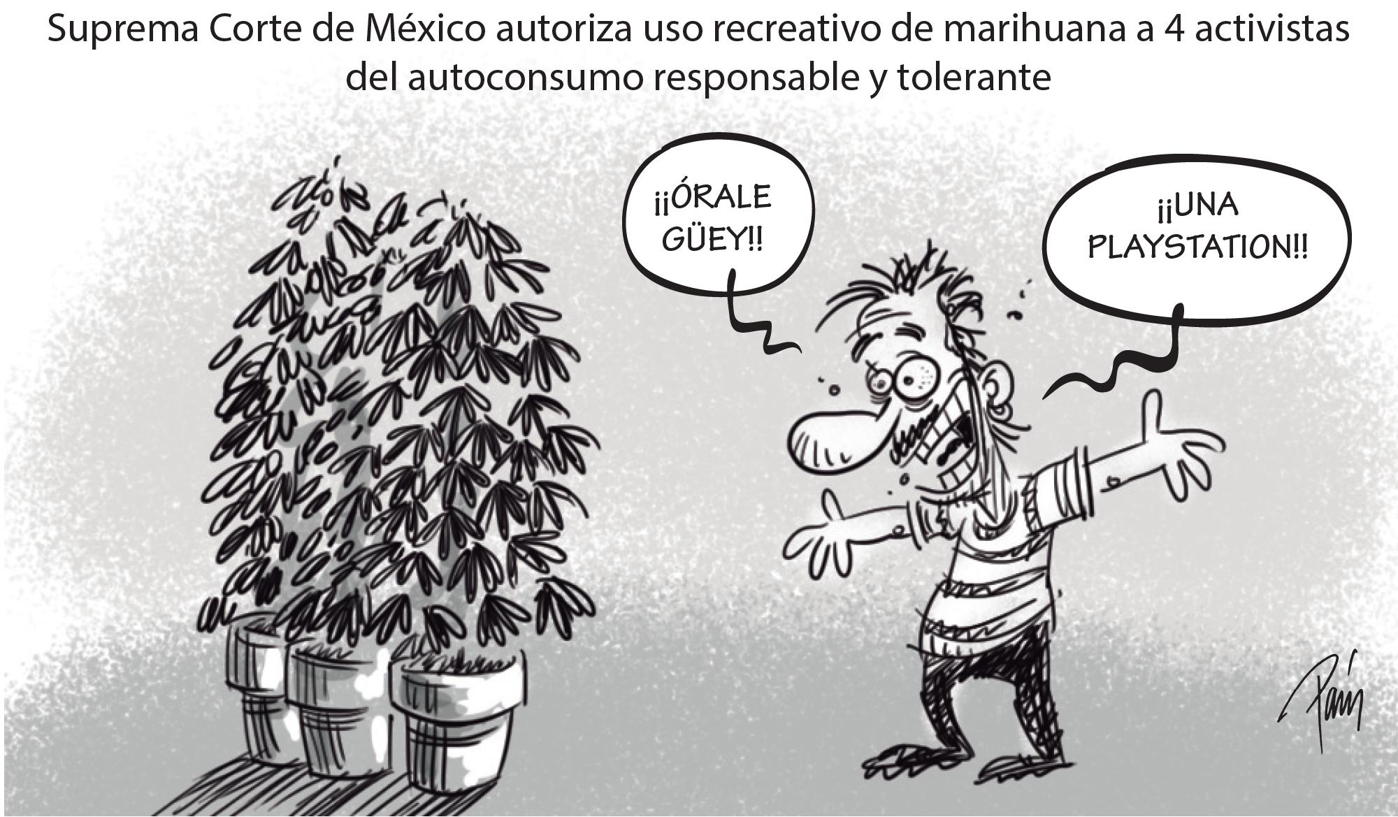 InfogrÃ¡fico