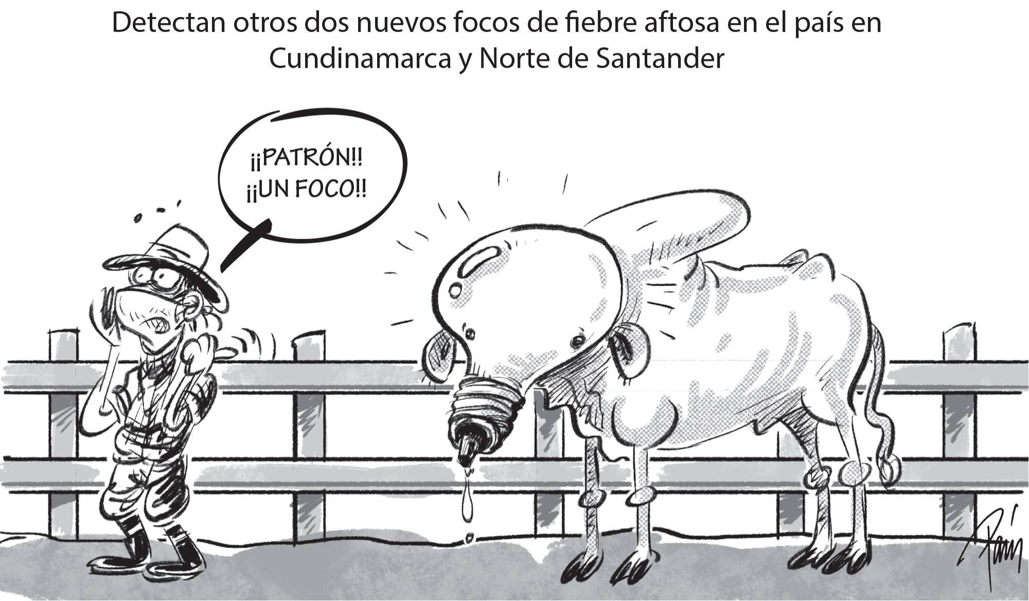 InfogrÃ¡fico
