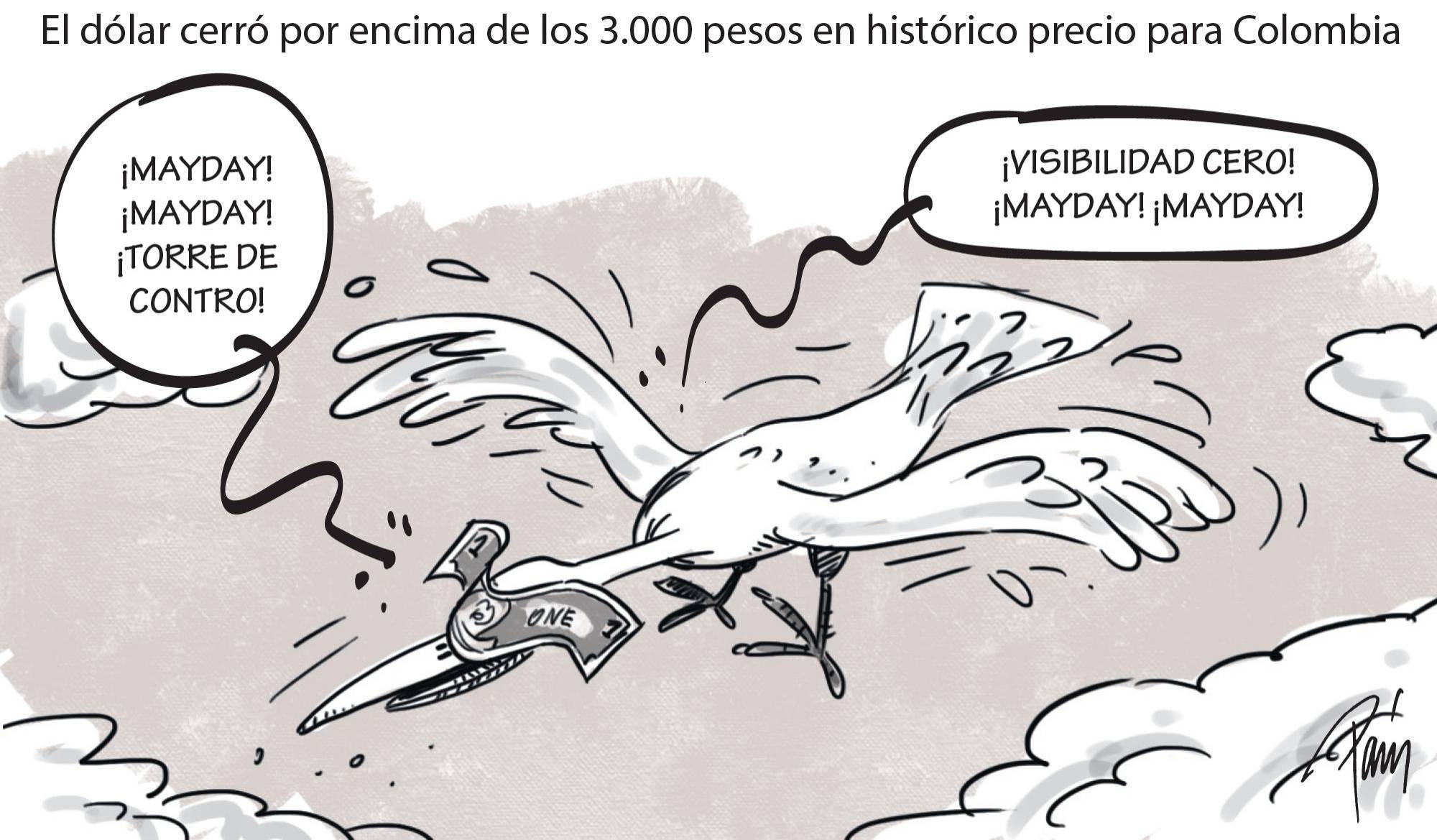 InfogrÃ¡fico