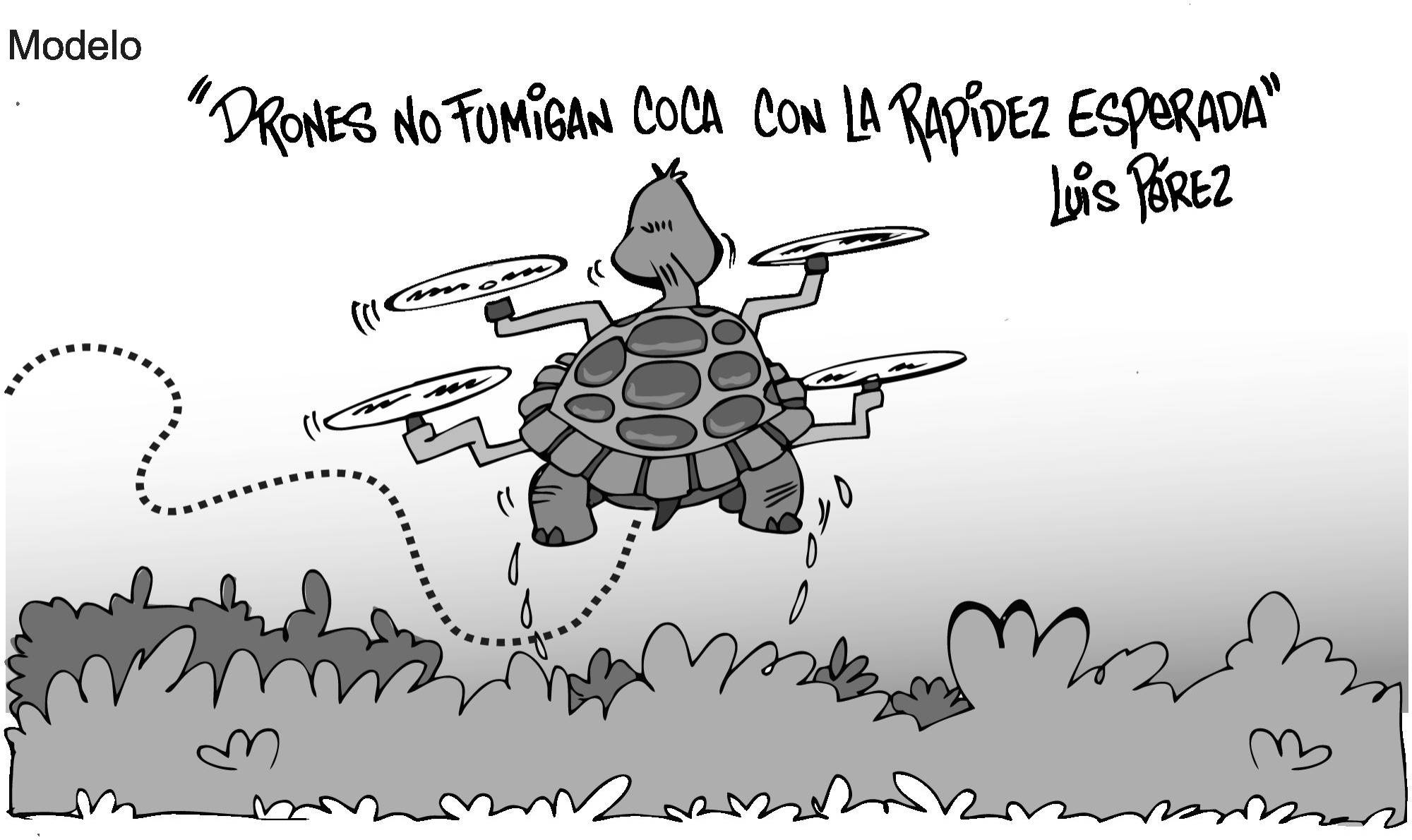 InfogrÃ¡fico