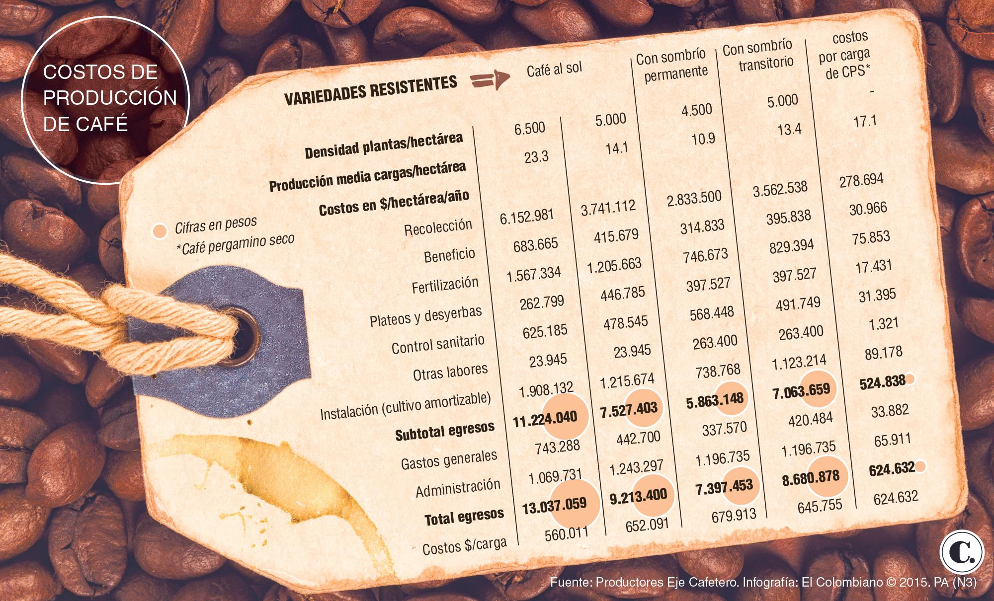 InfogrÃ¡fico