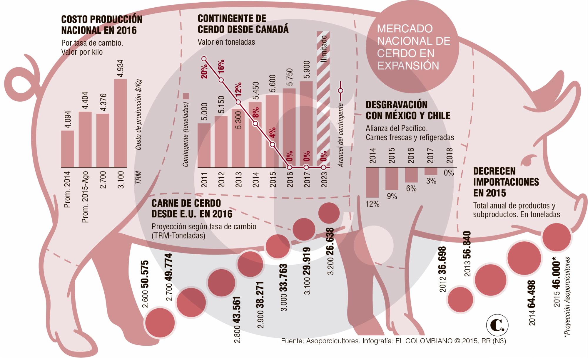 InfogrÃ¡fico