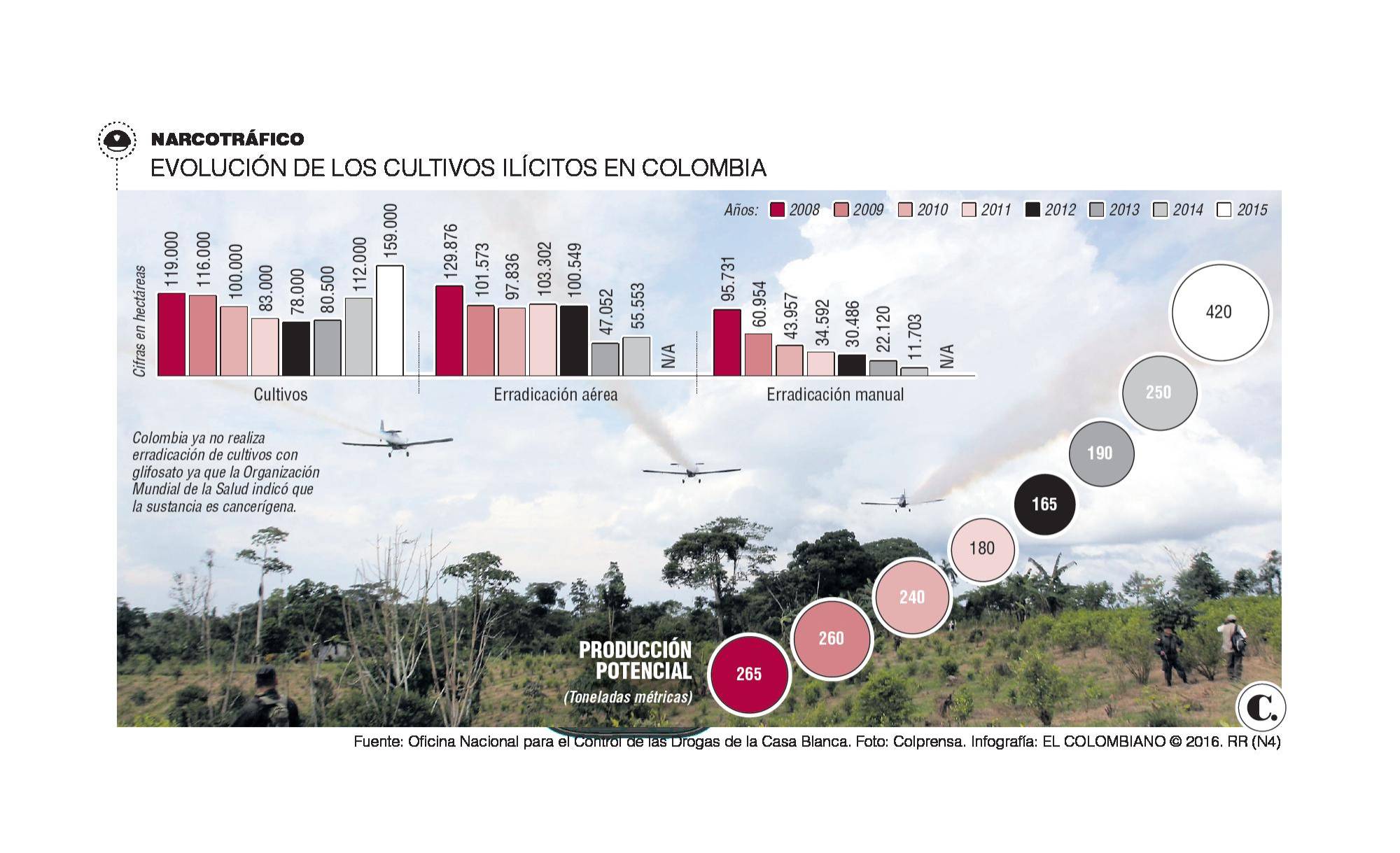 InfogrÃ¡fico