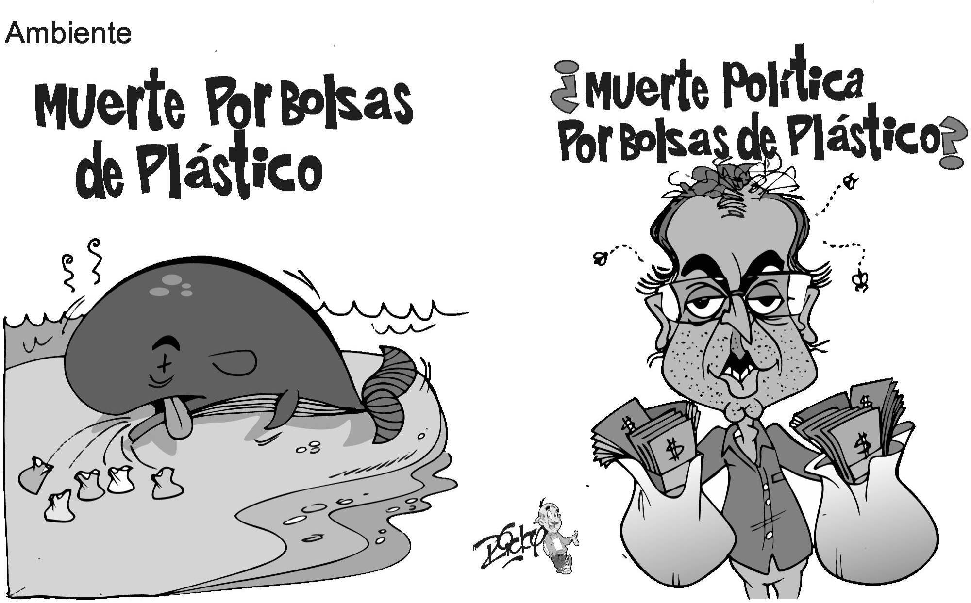 InfogrÃ¡fico