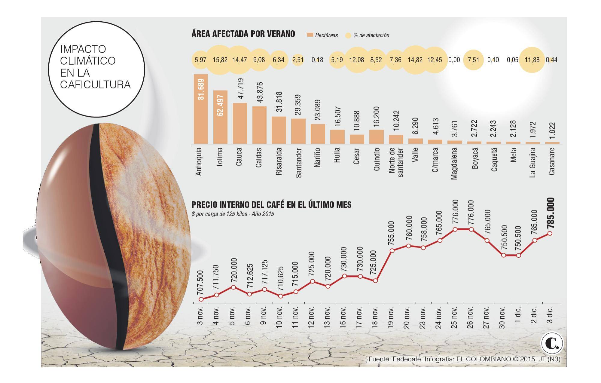 InfogrÃ¡fico