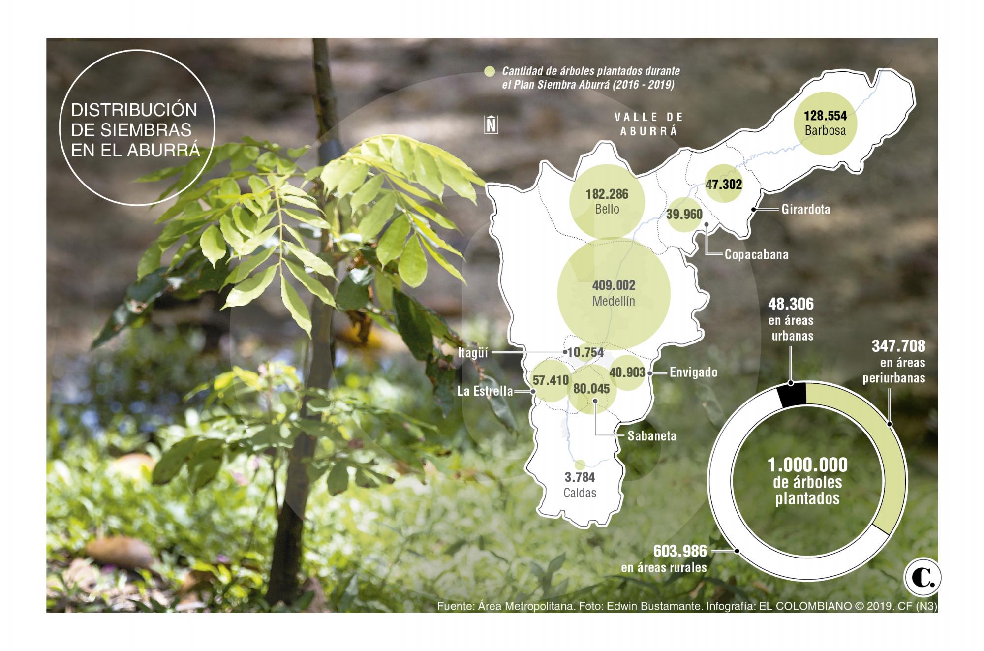 InfogrÃ¡fico